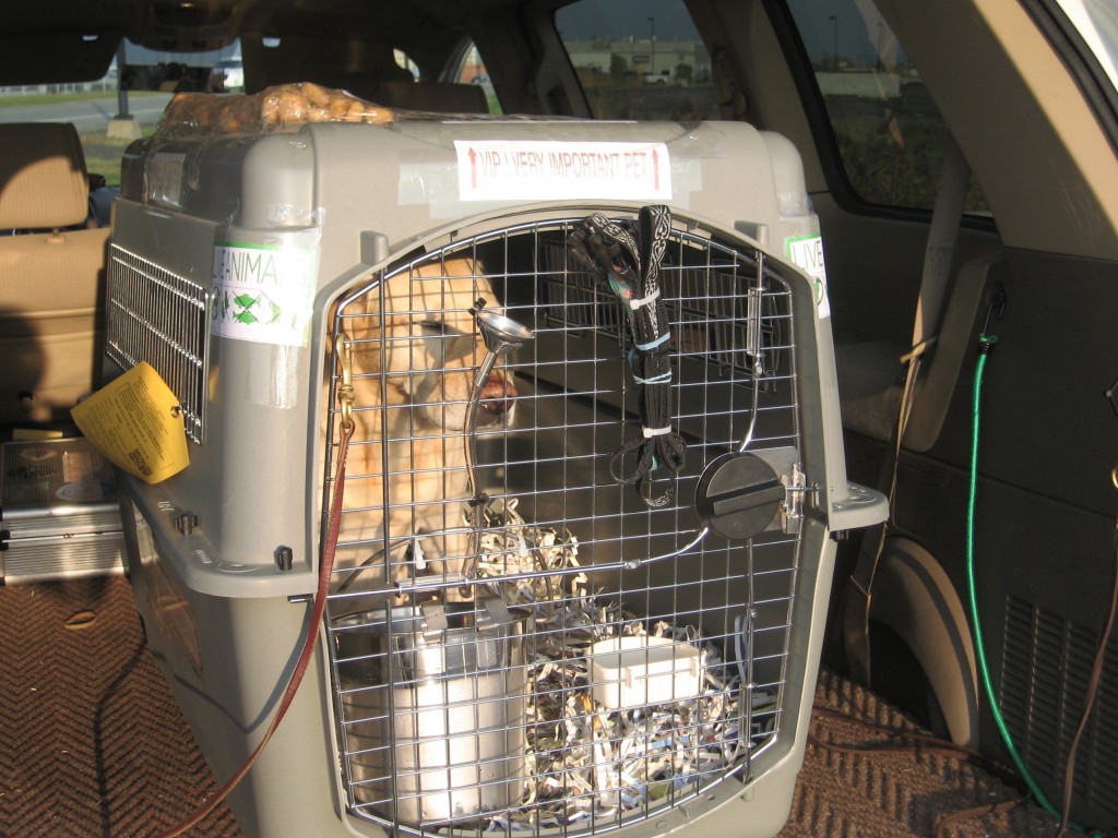 Cages pour transport aérien des animaux Manoir Kanisha