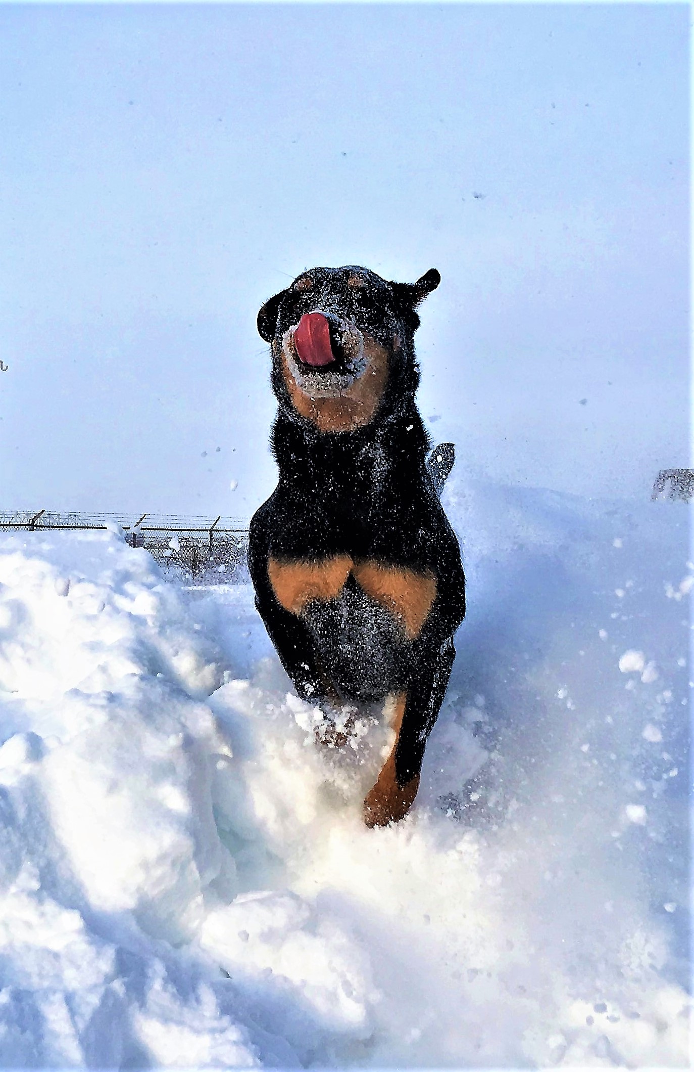 Snow taste so good!